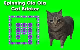 Spinning Oia Oia Cat Bricker